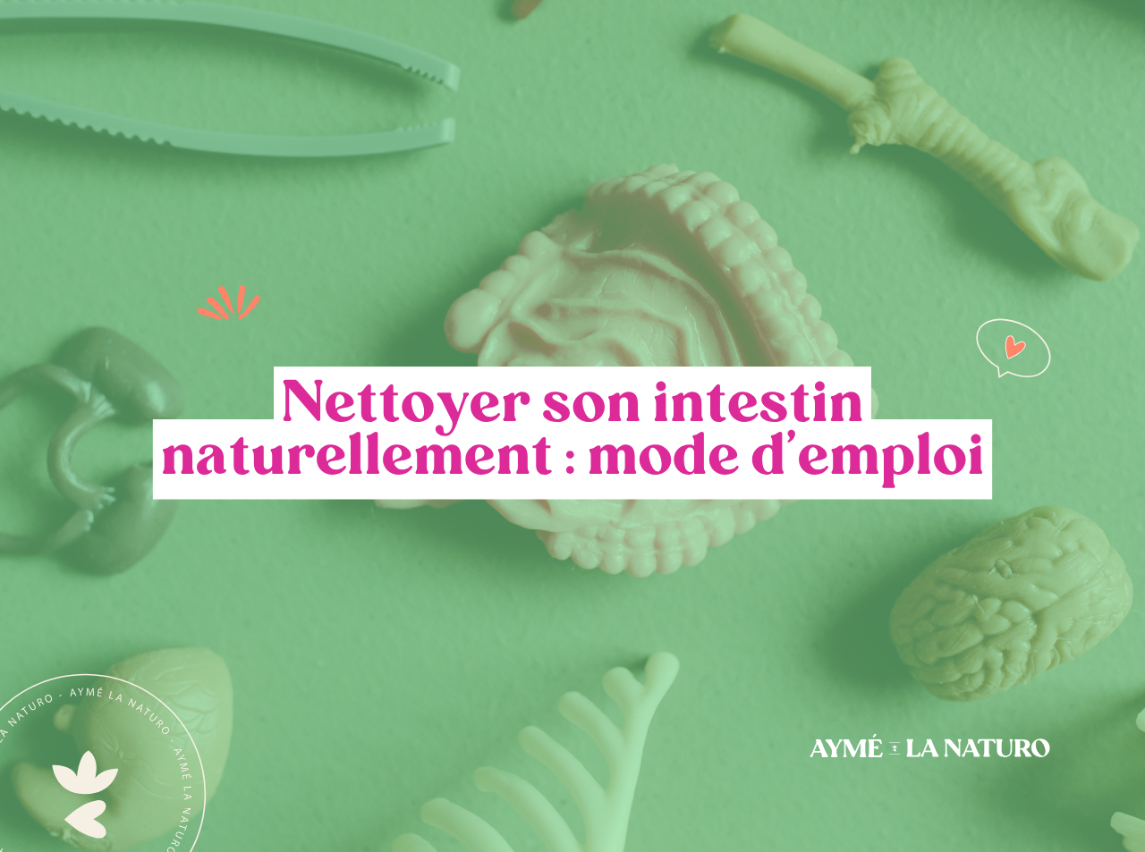 nettoyage-intestin Couverture de l'article nettoyer son intestin