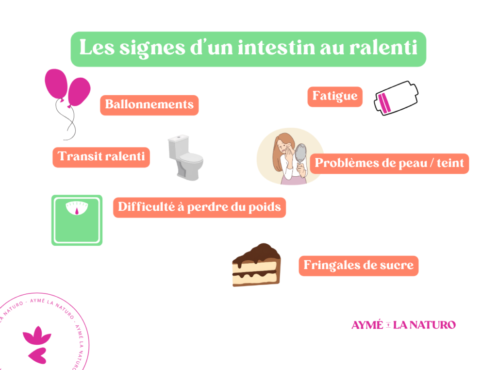 Schéma pour montrer les signes d'un intestin ralenti