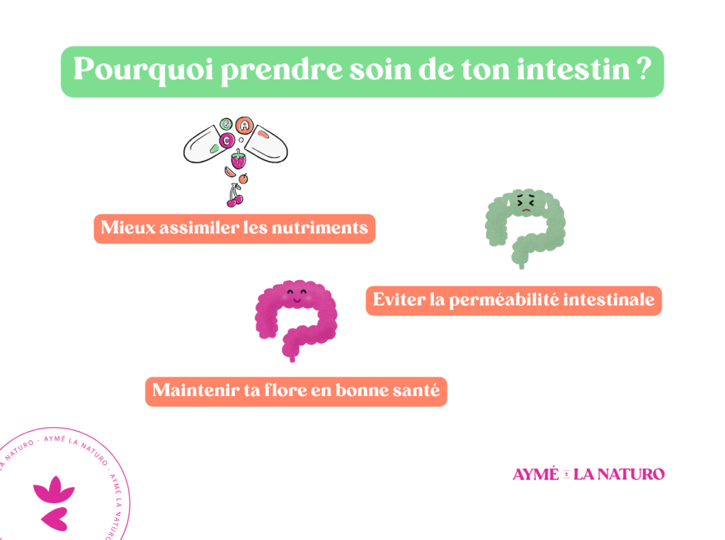 Schéma pour montrer l'importance d'un intestin sain.