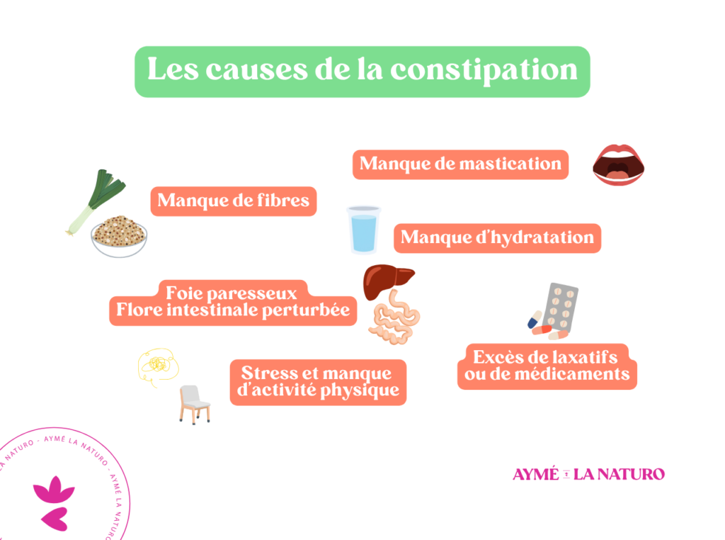 Schéma pour représenter les causes principales de la constipation