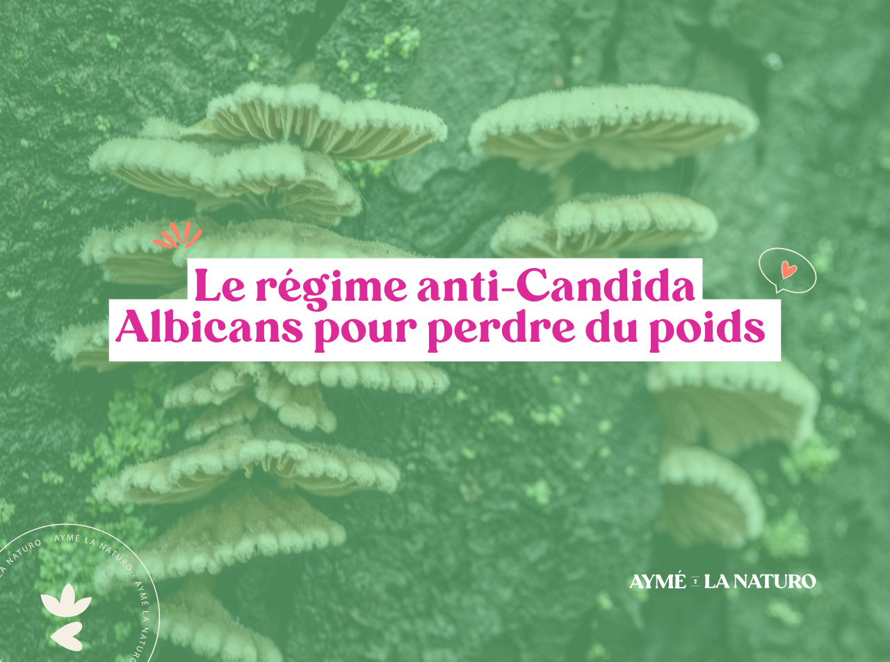 Couverture pour l'article régime anti-candida albicans et perte de poids